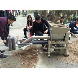 食用菌菌種產(chǎn)業(yè)與貿易全景解析 從設備技術到國際流通